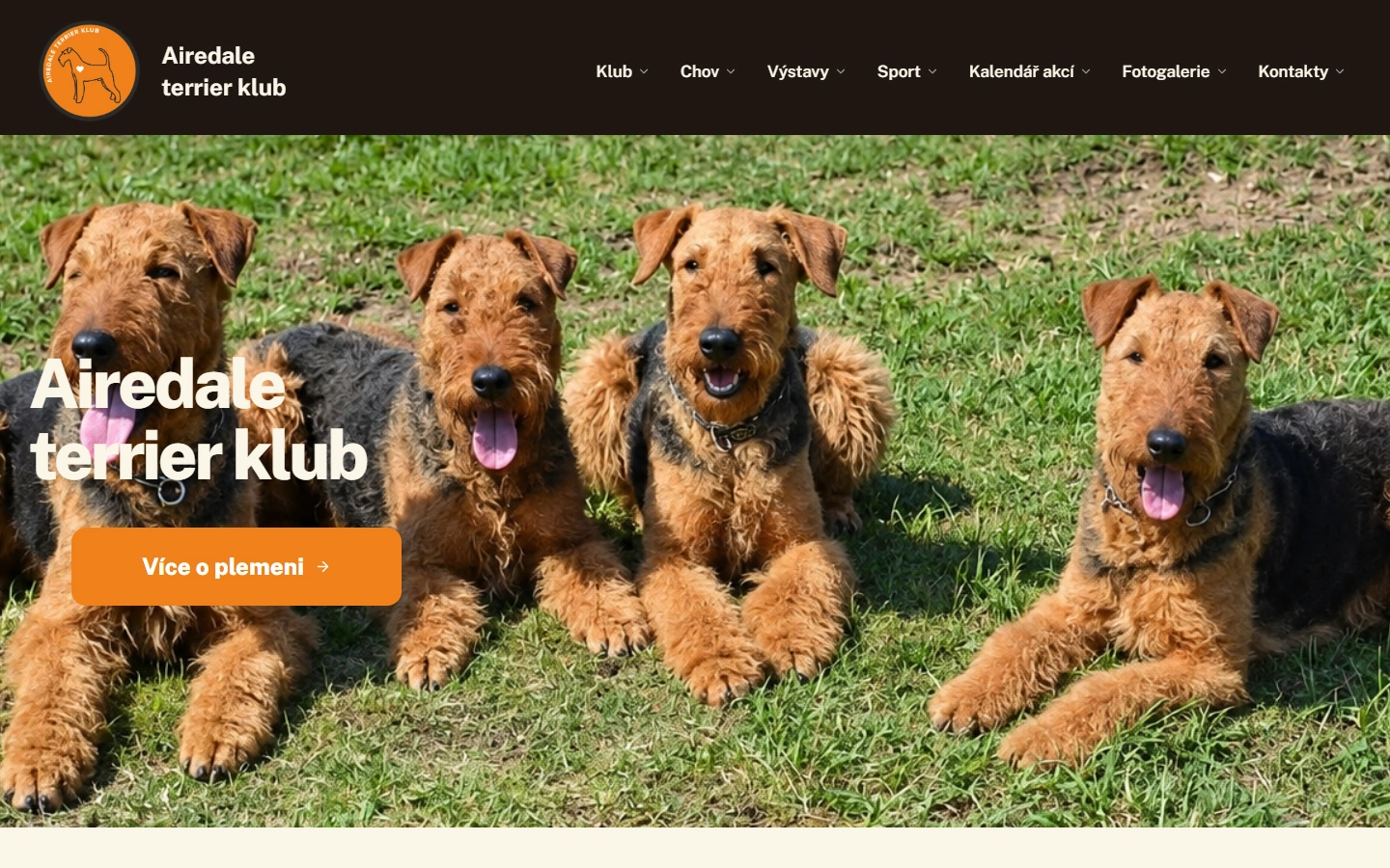 Nový web Airedale Terrier Klubu s přehlednou navigací, fotografií a výraznými odkazy.